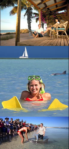 Monkey Mia WA Accommodation Sunshine Coast