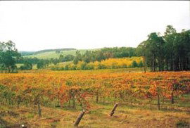 Accommodation Sunshine Coast