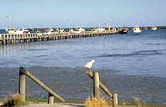 Burrungule SA Accommodation Sunshine Coast