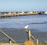 Seaview Motel and Holiday Units - Accommodation Sunshine Coast