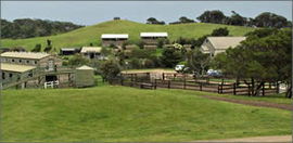 Cape Schanck VIC Accommodation Sunshine Coast
