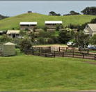 Ace Hi Riding Ranch