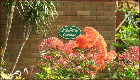 Balgowlah NSW Accommodation Sunshine Coast