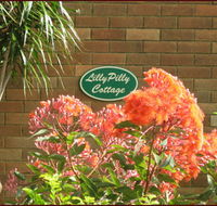 Lillypilly - Accommodation Sunshine Coast