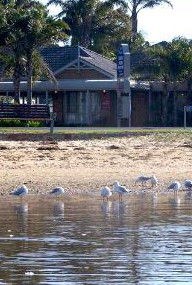 Best Western Coastal Waters Motor Inn - Accommodation Sunshine Coast 2