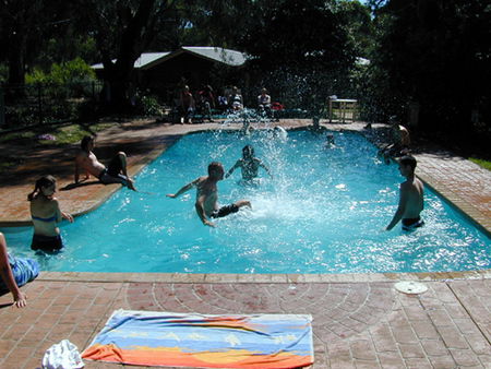 Koala Park Resort - Accommodation Sunshine Coast 1