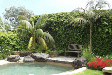 The Tropicana Motor Inn - Accommodation Sunshine Coast 2