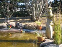 Murray Gardens Motel And Cottages - Accommodation Sunshine Coast 2