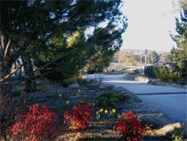 Murray Gardens Motel And Cottages - Accommodation Sunshine Coast 3