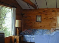 The Pines Resort - Accommodation Sunshine Coast 0