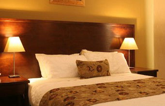 Whale Motor Inn - Accommodation Sunshine Coast 1