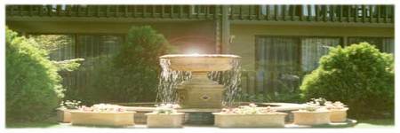 Best Western Tall Trees Motel - Accommodation Sunshine Coast 2