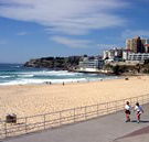 Biltmore On Bondi Backpackers - Accommodation Sunshine Coast