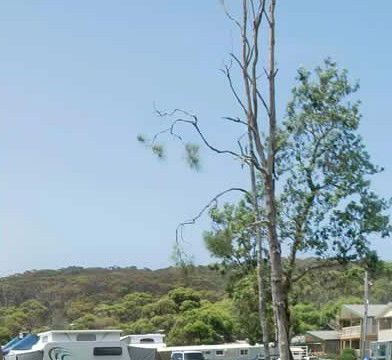 Merry Beach Caravan Park - Accommodation Sunshine Coast 2