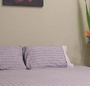 Stingo Hotel - Accommodation Sunshine Coast