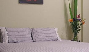 Stingo Hotel - Accommodation Sunshine Coast 0