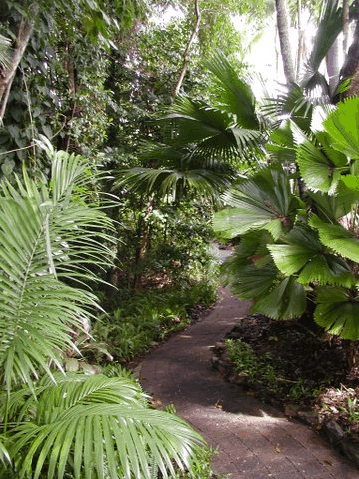 Rainforest Grove Holiday Resort - Accommodation Sunshine Coast 1