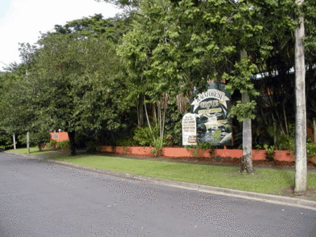 Rainforest Grove Holiday Resort - Accommodation Sunshine Coast 2