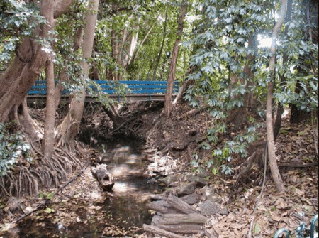 Rainforest Grove Holiday Resort - Accommodation Sunshine Coast 3