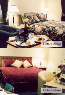  Accommodation Sunshine Coast