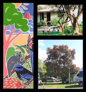 Bushland Cabins - Accommodation Sunshine Coast 0