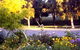 Parkside Bed And Breakfast - thumb 1