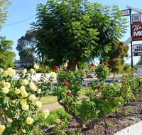 Narrogin Motel - Accommodation Sunshine Coast