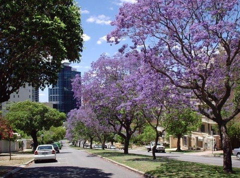 Mountway Holiday Apartments - Accommodation Sunshine Coast 3