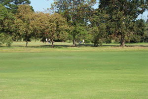 Beach Motor Inn - Accommodation Sunshine Coast 7