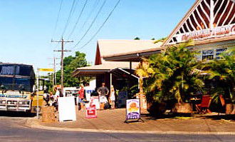 Mission Beach Rainforest Motel - Accommodation Sunshine Coast 0