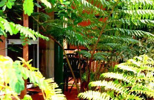 Mission Beach Rainforest Motel - Accommodation Sunshine Coast 3