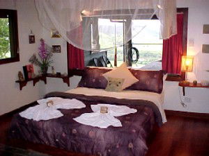 Daintree Cloud 9 - Accommodation Sunshine Coast 0