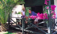 Desert Palms Resort - Accommodation Sunshine Coast 3