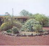 Beaufort Motel - Accommodation Sunshine Coast