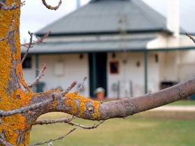 Dunalan Cottage - Accommodation Sunshine Coast 0