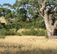 Wings Barossa Bird and Bush Retreat - Accommodation Sunshine Coast