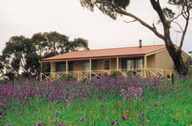 Armagh SA Accommodation Sunshine Coast