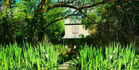 Dennis Cottage - Accommodation Sunshine Coast 0
