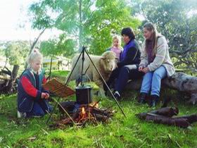 Sleepy Hollow Farm Cottage - Accommodation Sunshine Coast 0