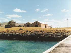 Mt Dutton Bay Woolshed Hostel - Accommodation Sunshine Coast 0