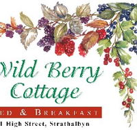 Wild Berry Cottage - Accommodation Sunshine Coast