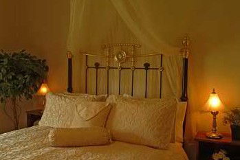 Citrus Cottage - Accommodation Sunshine Coast 2