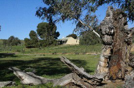 Saunders Gorge Sanctuary - Boundary Cottage - Accommodation Sunshine Coast 1