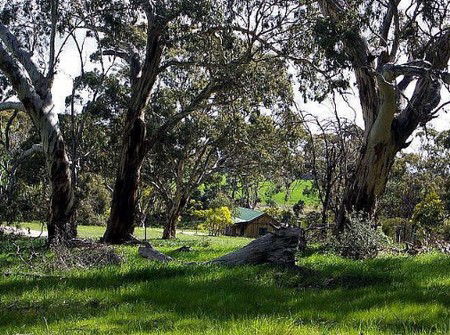 Wuthering Heights - Bronte Manor - Accommodation Sunshine Coast 3