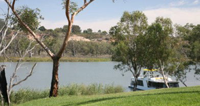Toolunka Estate Cottage - Accommodation Sunshine Coast 4
