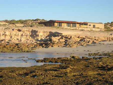 Tiliqua Sunrise - Accommodation Sunshine Coast 3