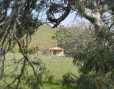 Saunders Gorge Sanctuary - Hideaway Cottage - Accommodation Sunshine Coast 1