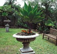 Bangalow Retreat - Accommodation Sunshine Coast