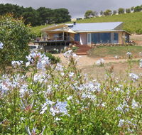 The Blue Grape Vineyard Accommodation - Accommodation Sunshine Coast
