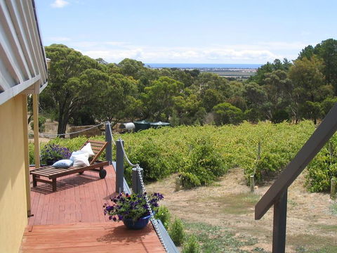 The Blue Grape Vineyard Accommodation - Accommodation Sunshine Coast 1